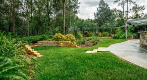 Landscape Design & Installation