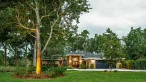 TPG Land Scape